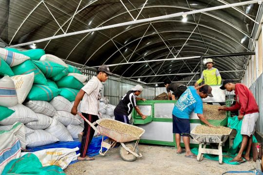 LPDB salurkan pembiayaan ke KDMP Sidomulyo Jember dukung ekspor kopi