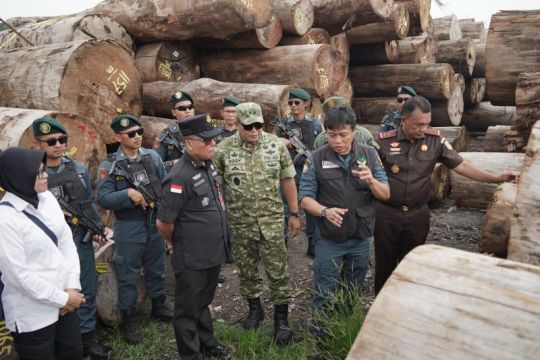Rugikan negara, Kemenhut proses hukum kasus pembalakan Hutan Sipora
