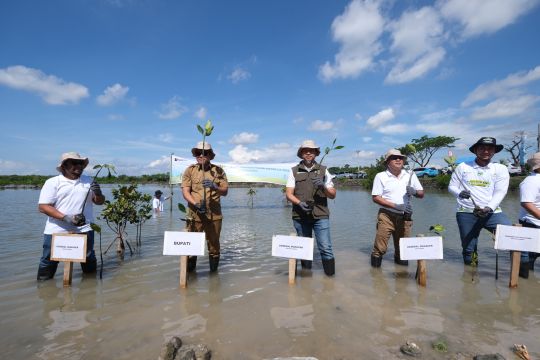 Pegawai PLN Group Sulawesi Selatan tanam 10.150 pohon di Jeneponto