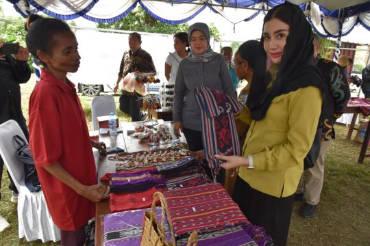 Anggota DPR dorong penguatan ekonomi kreatif Papua 