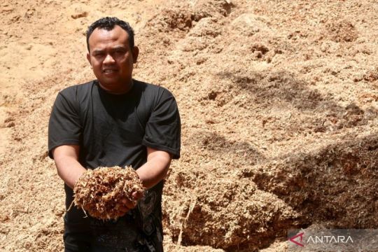 Mewujudkan swasembada energi dari limbah kayu