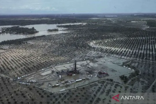 Begini pemandangan dari udara kebun sawit di Aceh masih terendam banjir