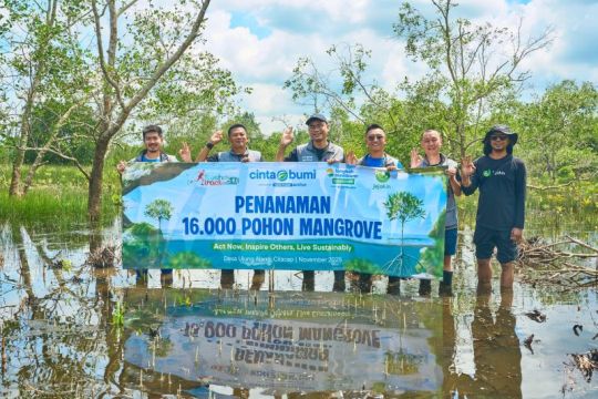 "Langkah Membumi Ecoground" di Taman Peruri kumpulkan 16 ribu mangrove