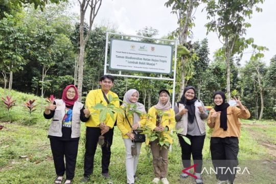 Dosen ULM bangun orchidarium khas hutan Meratus di Taman Biodiversitas