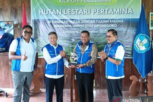 Pertamina gandeng Undip tanam 48.000 pohon