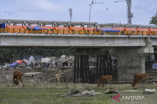 BNPB beri penjelasan soal tenda pengungsian di Aceh