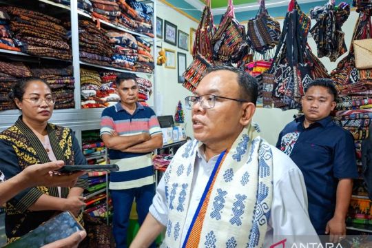 Ketua Komisi VII dorong pemerintah perkuat akses modal UMKM tenun NTT
