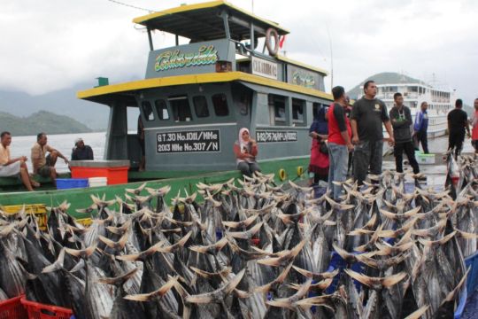 KKP: Investasi kelautan-perikanan hingga triwulan III Rp7,82 triliun