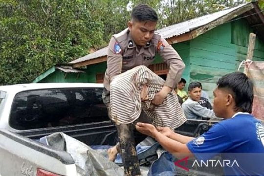 Populer sepekan, UKT korban bencana Sumatera - 985 ribu pengungsi