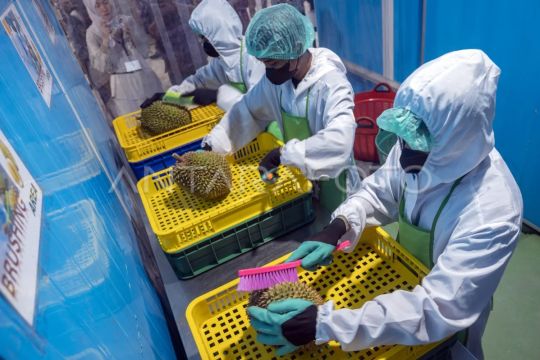 Barantin paparkan syarat ekspor durian beku ke China