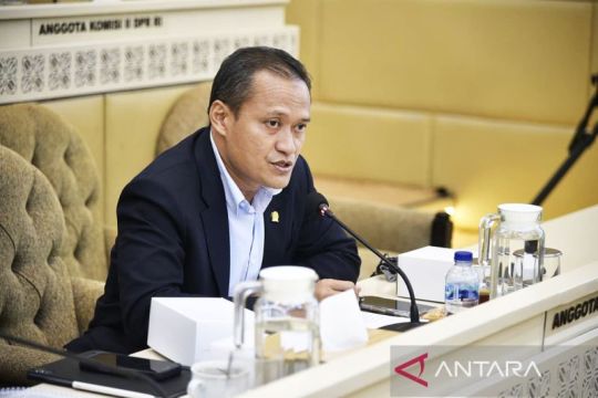 Anggota DPR: Pidato Prabowo di WEF tegaskan arah bangsa Indonesia