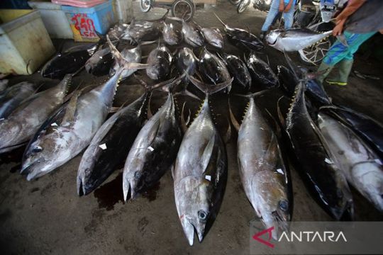 PNBP perikanan untuk pemerataan kesejahteraan nelayan Indonesia