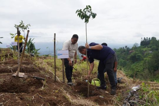 BRI Insurance tanam bibit pohon guna jaga iklim dan ekonomi Bogor