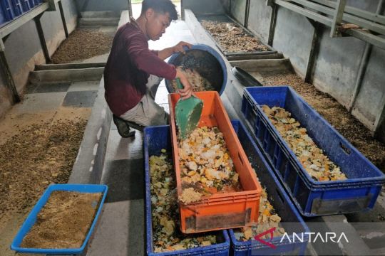 BGN: Pengolahan food waste MBG peluang keuntungan lewat kredit karbon