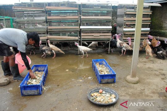 Kemendes dorong desa jadi pionir ekonomi sirkular nasional