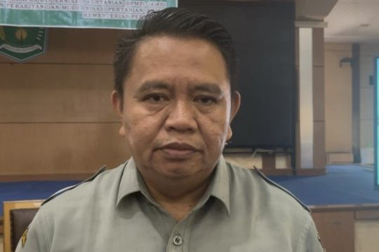 BRMP Jambi uji coba tanam gandum di Kerinci dan Sungai Penuh