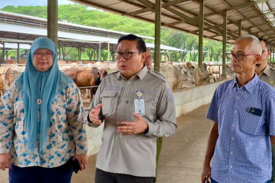 Kementan jaga harga dan pasokan daging sapi jelang Natal-Tahun Baru