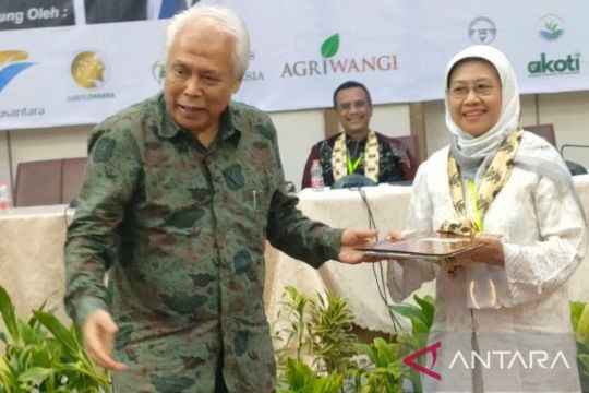DTI siap tingkatkan nilai ekonomi kebun teh rakyat