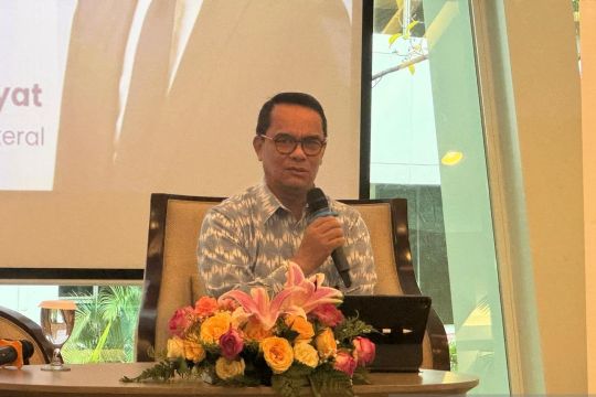 Indonesia dorong D-8 hasilkan kerja sama ekonomi konkret