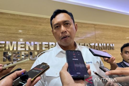 Bulog: 35 persen Minyakita disalurkan langsung ke pedagang di 2026