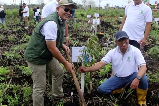 BPDAS dukung penerapan kurikulum hijau di Kalbar