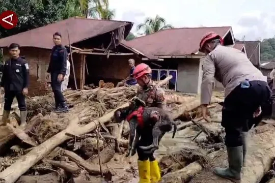 Duga kayu di Sumatera hasil pembalakan liar, Muzani: Jadi pelajaran!