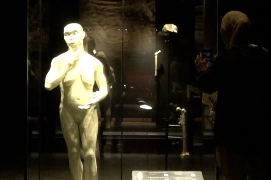 Menbud Fadli Zon terima kepulangan fosil Java Man dari Belanda