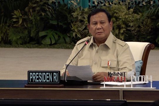 Prabowo minta Papua ditanami sawit dan singkong demi swasembada energi