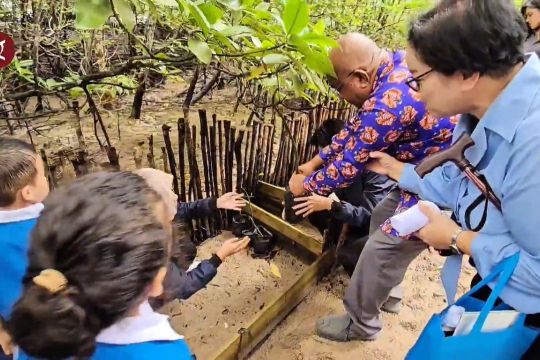Yayasan Bintan Resort tanam bakau pertahankan ekosistem laut