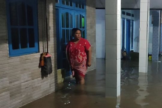 Tambang Ciwandan tak dominan sebabkan banjir