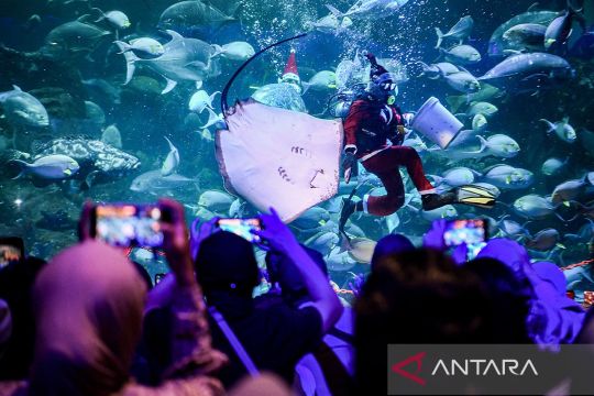 Selain SeaWorld, ini tempat wisata akuarium yang menarik dikunjungi