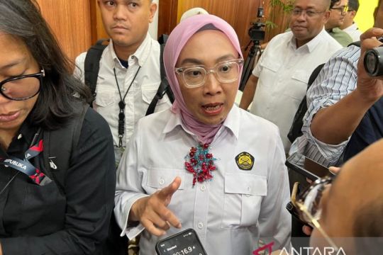 ESDM: Bauran energi bersih di ketenagalistrikan lampaui target RUKN