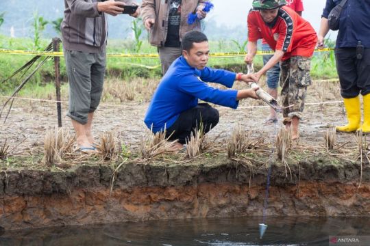 Kementerian ESDM kaji fenomena sinkhole di Kabupaten Limapuluh Kota