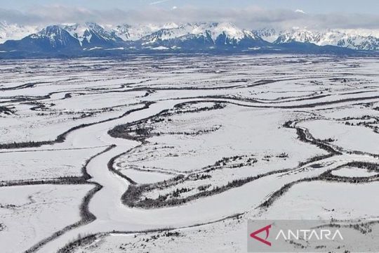 Anggota parlemen AS ajukan RUU untuk caplok Greenland
