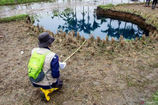 BRIN: Bukan air sakti, air sinkhole mengandung bakteri dan logam berat