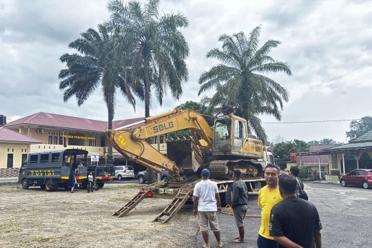 ESDM-PPATK koordinasi tambang emas ilegal hingga ratusan triliun