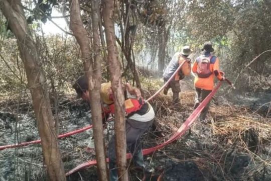 BNPB: Tidak ada korban dalam karhutla di Kotawaringin Barat