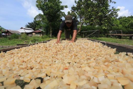 Kementerian UMKM gandeng IKPI untuk pendampingan pajak UMKM