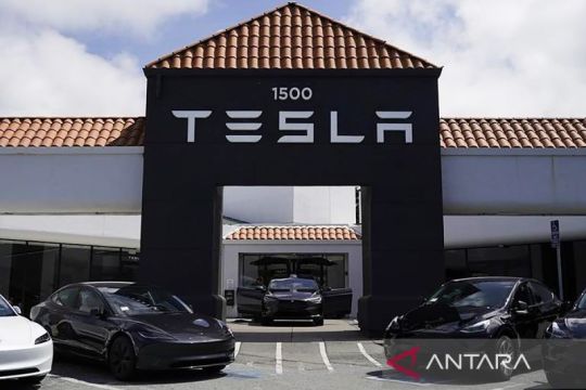 Tesla hadirkan aplikasi Robotaxi untuk pengguna Android