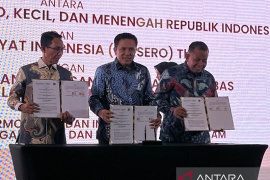 Kementerian UMKM jalin kerja sama dengan BP Batam perkuat sektor UMKM