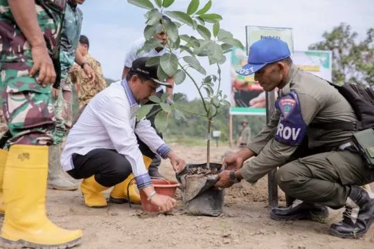 Pidie Jaya tanam 300 pohon untuk pemulihan lahan pascabencana