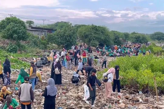 Pemkot Palu angkut seratus ton sampah di kawasan mangrove Teluk Palu