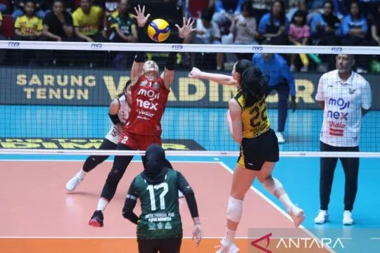 Gresik Phonska sapu bersih dua laga kandang setelah kalahkan Falcons