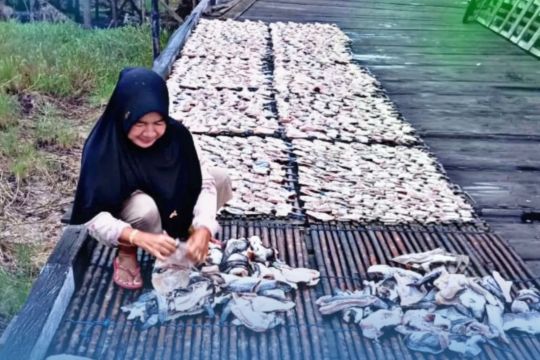 Dari pesisir Kaltim, PNM dampingi perempuan tumbuhkan ekonomi keluarga