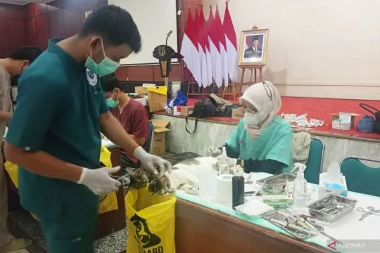 Sudin KPKP Jaktim perkuat pencegahan rabies lewat vaksin 14 ribu HPR