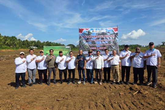 PTPN I Targetkan 50 Ribu Hektare Kelapa, Mulai Tanam Perdana di Minahasa Utara