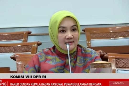 BNPB diminta siapkan sistem digital satu pintu data bantuan bencana