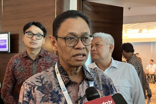 Kementerian ESDM kirim tim untuk cek longsor tambang timah di Babel