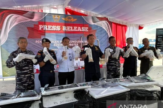 Tim gabungan gagalkan penyelundupan BBL senilai Rp11 miliar di Batam