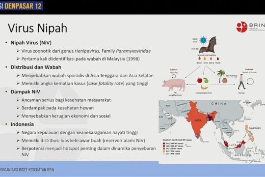 Anggota DPR: Pemerintah perlu perkuat edukasi publik cegah virus Nipah